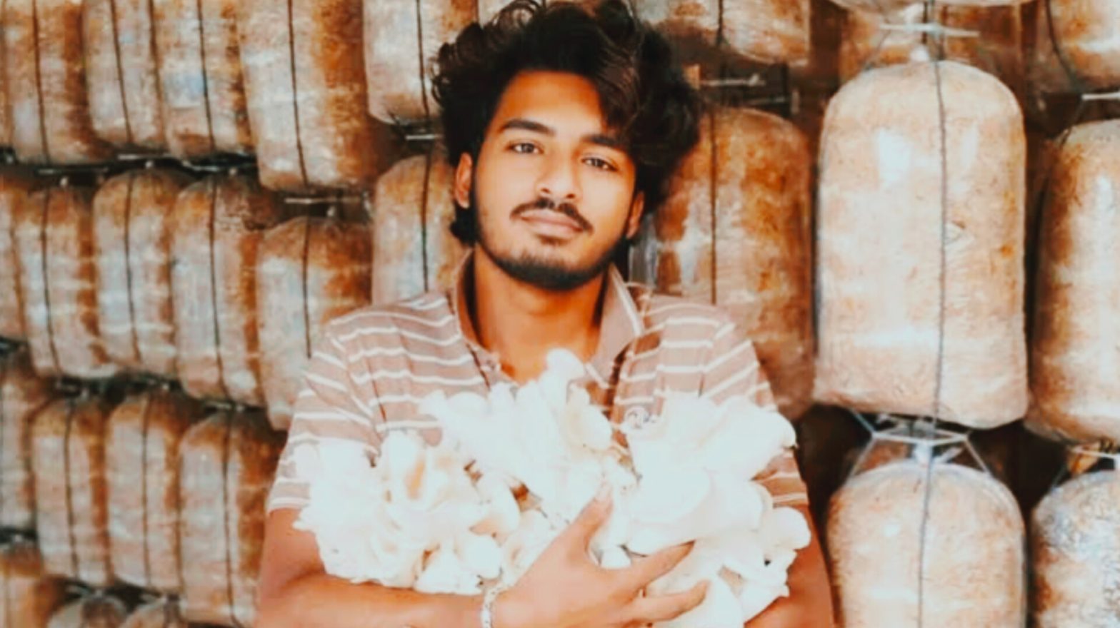 মাশরুম চাষে মহাইমিনের ভাগ্য বদল, মাসে আয় লাখ টাকা