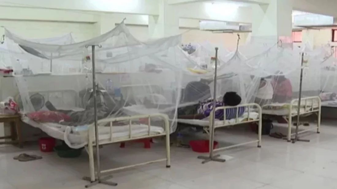 ডেঙ্গুতে এক দিনে আরও ৫ জনের মৃত্যু, হাসপাতালে ভর্তি ৯৫৩